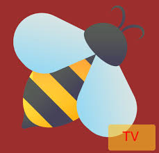 Castle APK Download Official Latest Version For Andriod 2026 16 Bee tv castlee.net.in